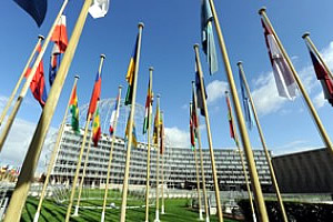 headquarters_flags.jpg
